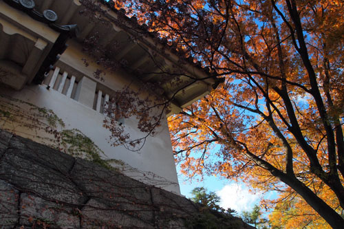 大阪城公園の紅葉