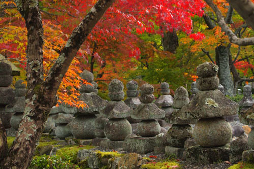 化野念仏寺の紅葉