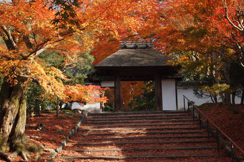 安楽寺の紅葉