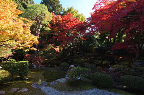 泉涌寺の紅葉