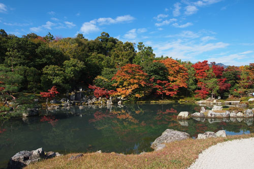 天龍寺の紅葉