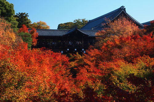 東福寺の紅葉