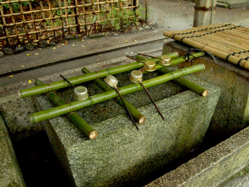 梨木神社 染井