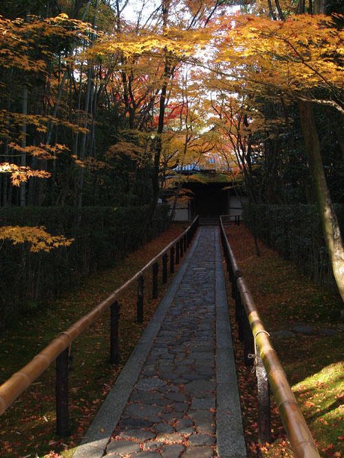 高桐院　参道