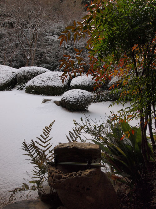 詩仙堂　雪の庭園