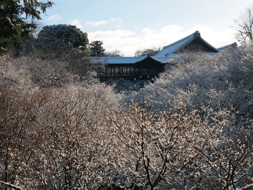 臥雲橋からの通天橋の雪景色