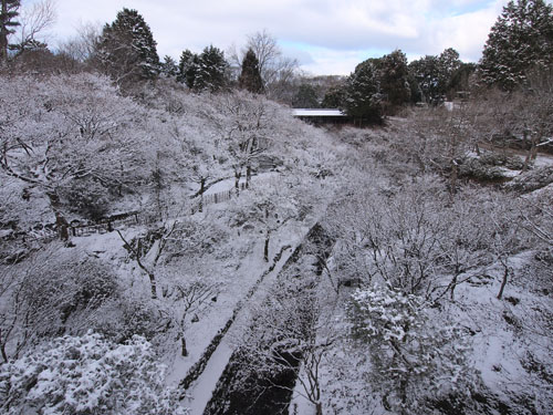 雪の洗玉澗