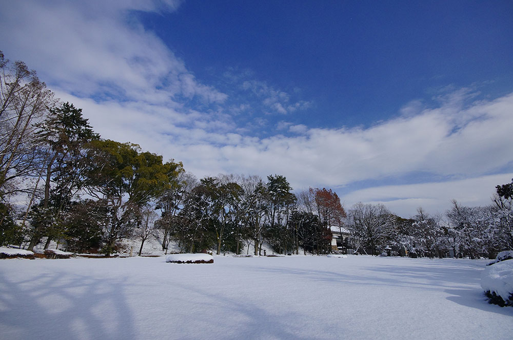 二条城　清流園