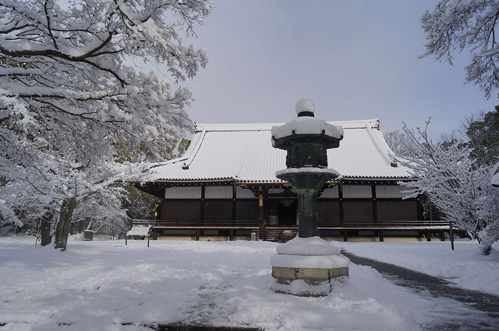 雪の仁和寺