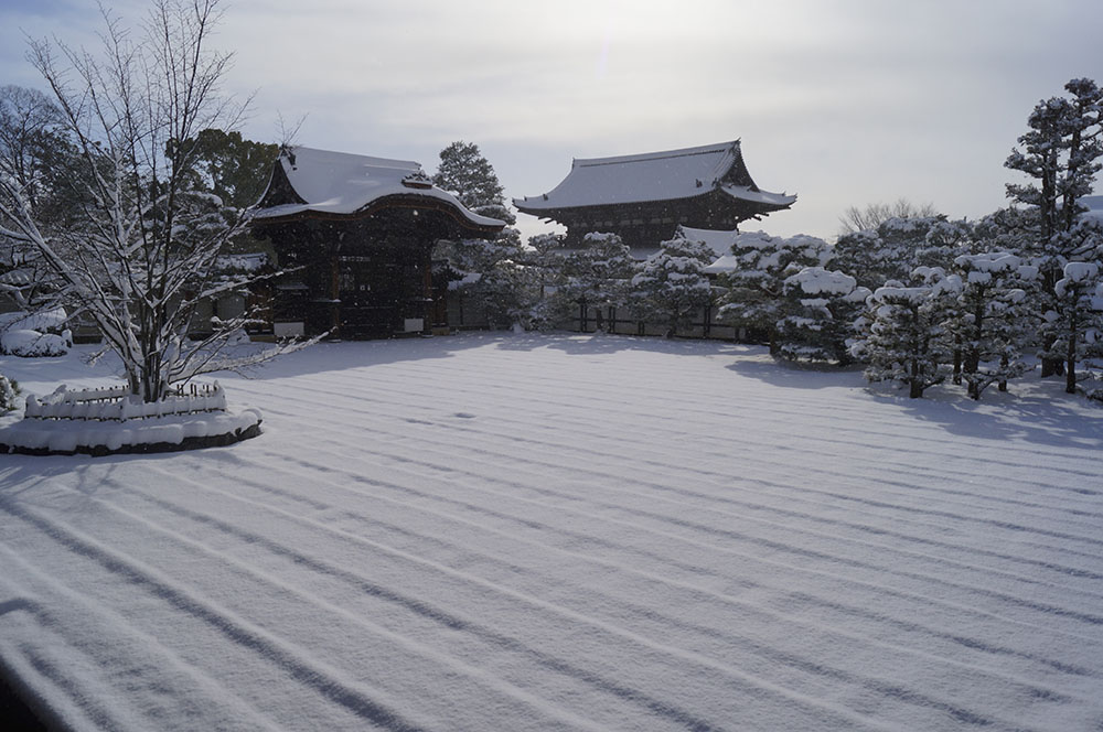 仁和寺 南庭