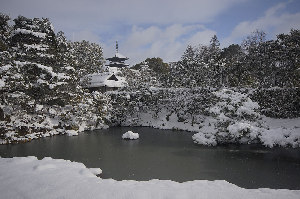 仁和寺 北庭から望む五重塔