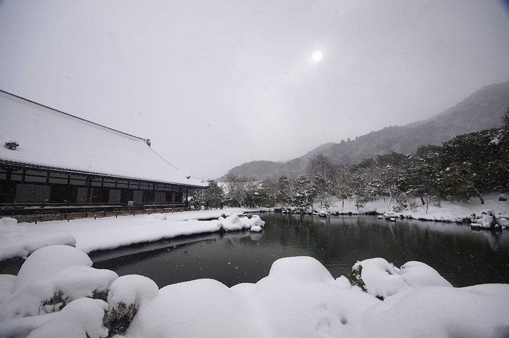 雪の天龍寺 庭園