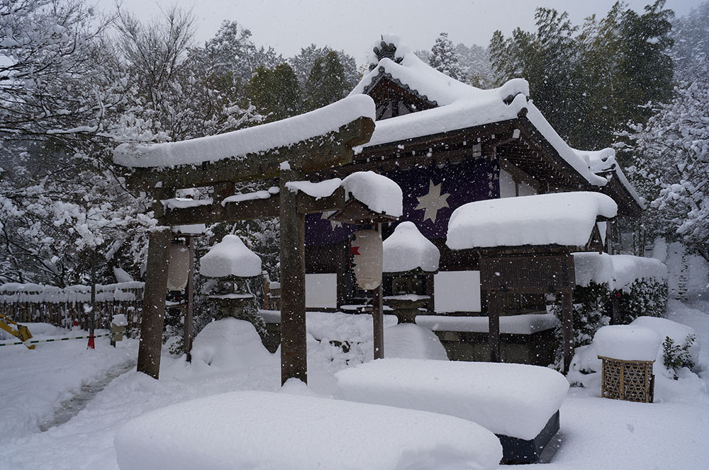 雪の常寂光寺