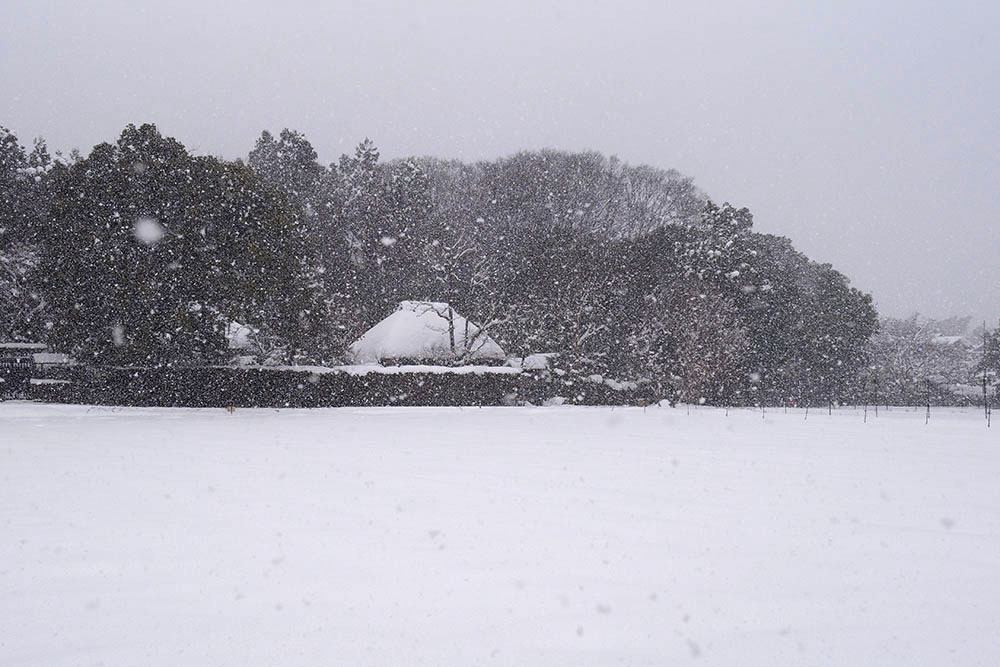 雪の落柿舎 遠景