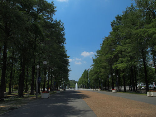 鶴見緑地公園　入り口