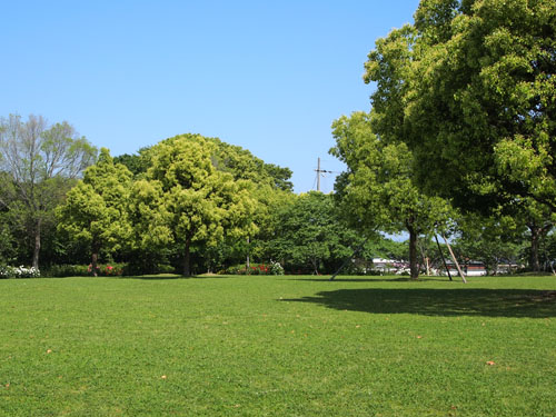 尼崎農業公園　芝生