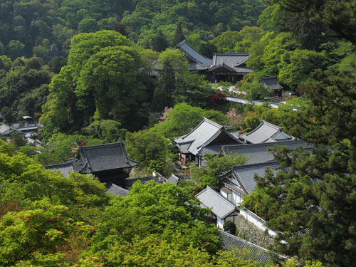 長谷の舞台からの眺め