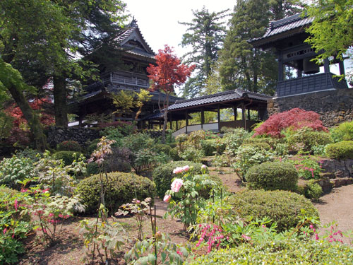 隆国寺　牡丹園