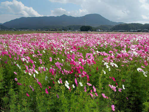 鈴鹿山系