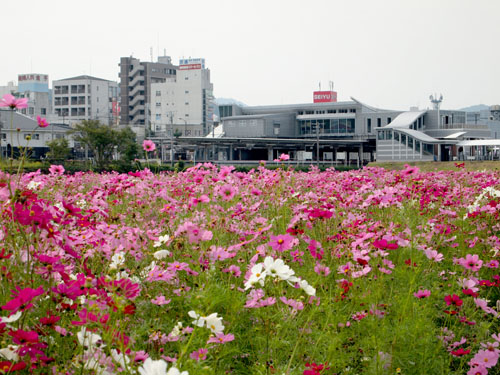 亀岡駅を望む