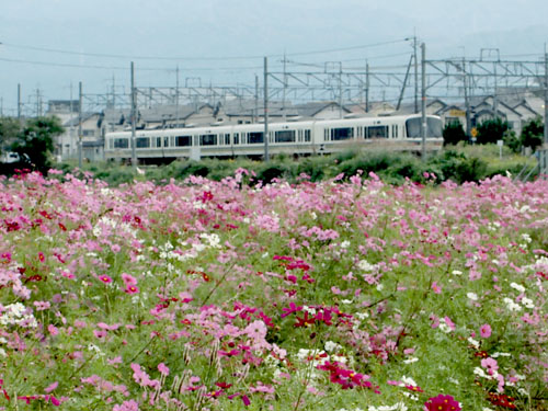 山陰線