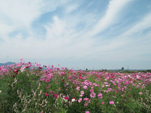 秋の空