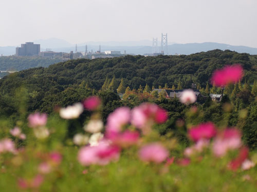 遠方に見える明石海峡大橋の主塔