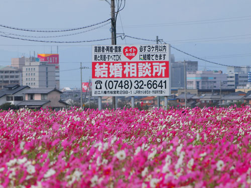 結婚相談所の看板