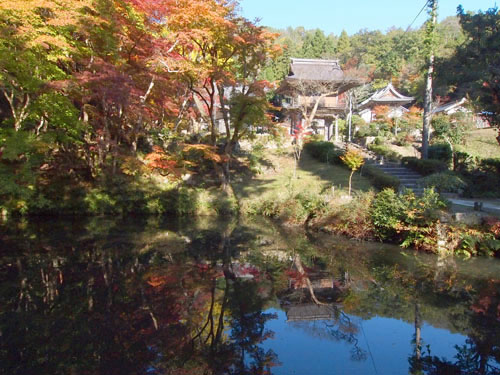 洞光寺の紅葉　池への映り込み