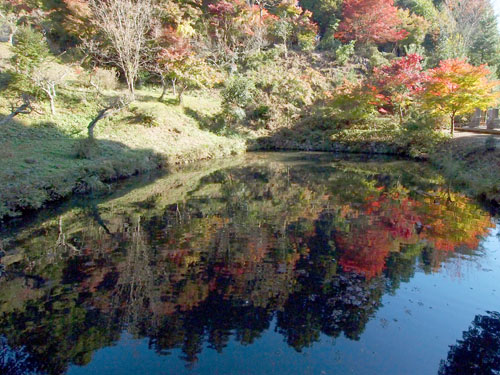 洞光寺の紅葉　池への映り込み