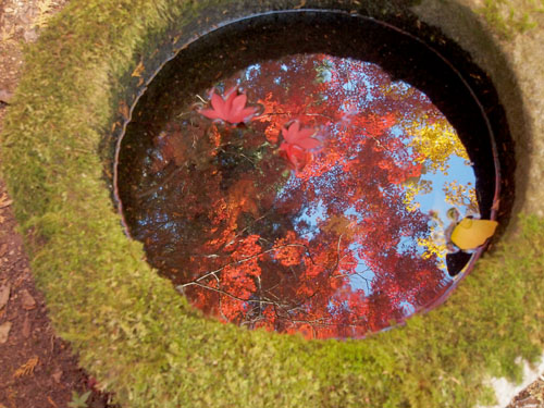 洞光寺の紅葉　水面への映り込み