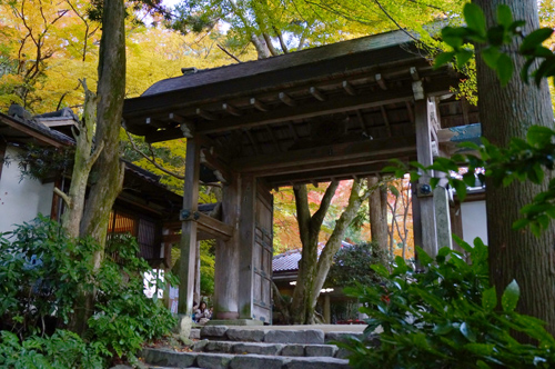 有馬 瑞宝寺公園