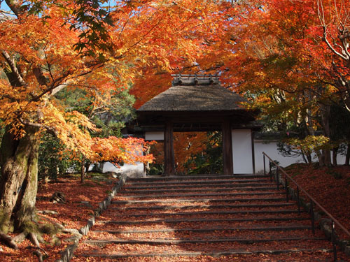 安楽寺 三門