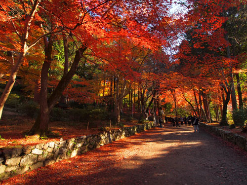 毘沙門堂の紅葉