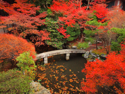 弁天堂下の紅葉