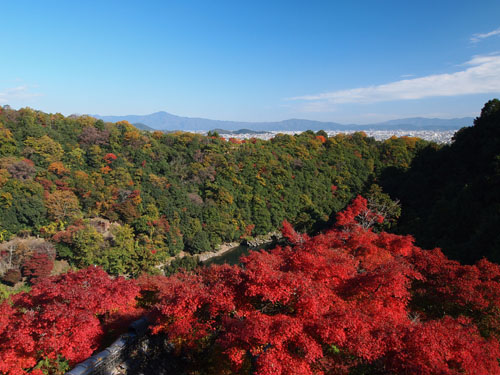 京都嵯峨嵐山 大悲閣