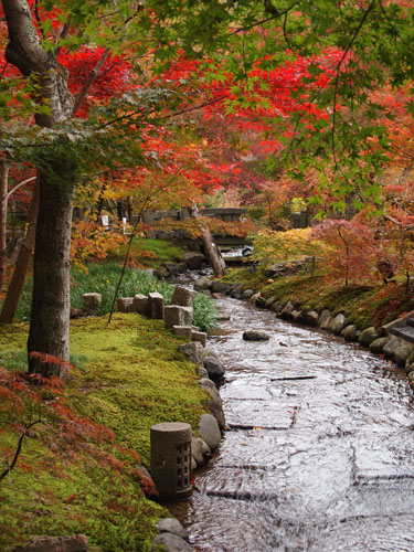 永観堂　庭園