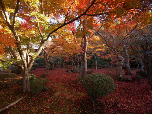 圓光寺　十牛の庭