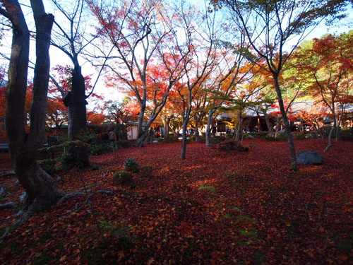 圓光寺　十牛の庭