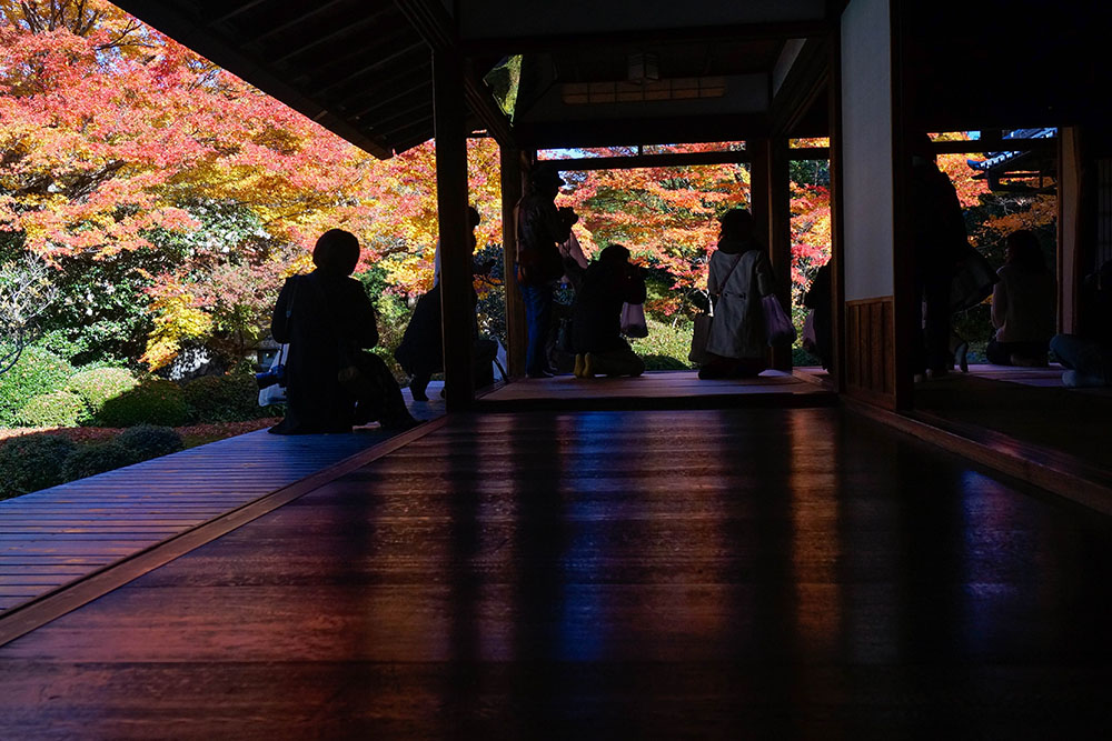 源光庵 縁側に映り込む紅葉の赤い光