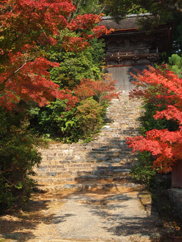 神護寺　紅葉