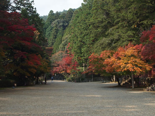 神護寺　境内