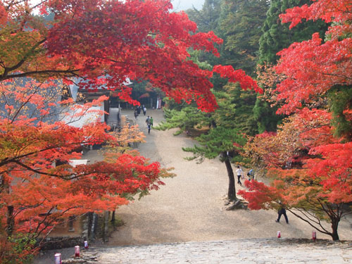 神護寺　紅葉