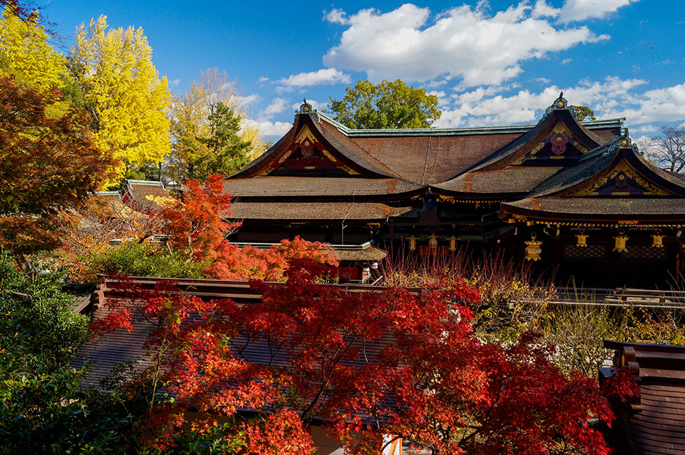 北野天満宮の紅葉 本殿を望む