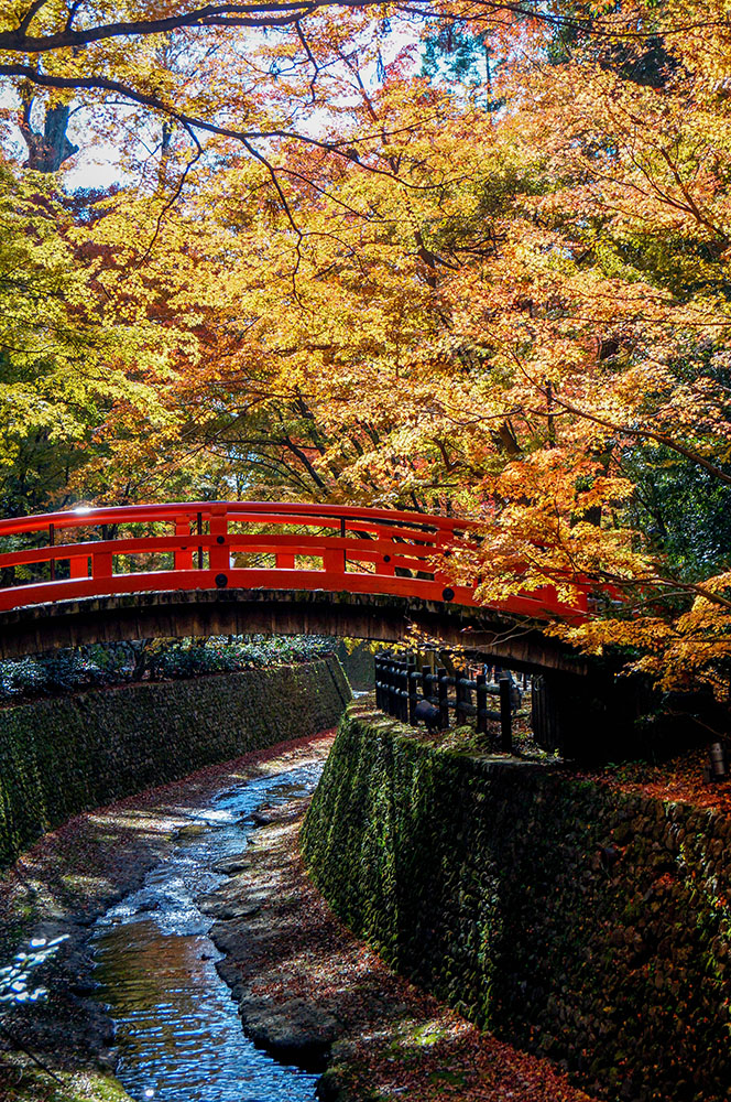 北野天満宮の紅葉 鶯橋