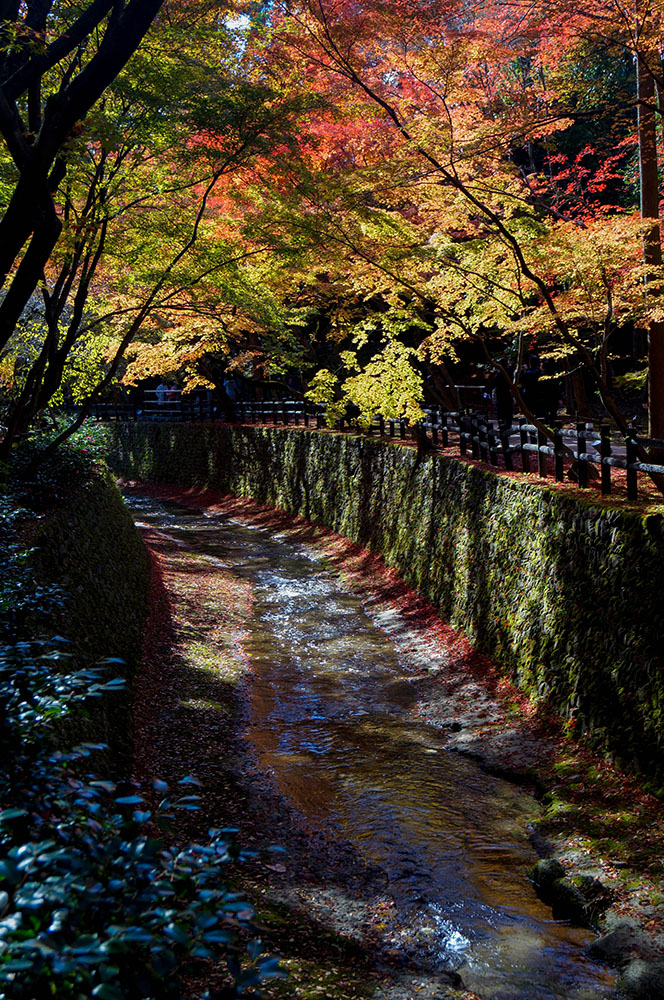 北野天満宮の紅葉 紙屋川