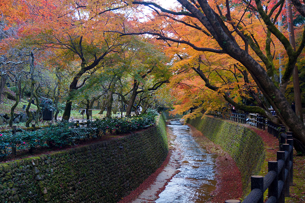 北野天満宮の紅葉 紙屋川