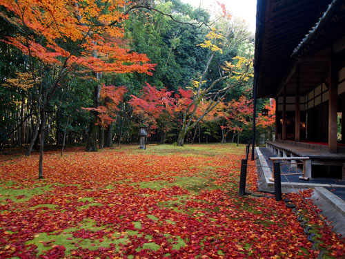 高桐院 客殿南庭