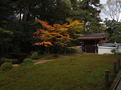 南禅院　庭園