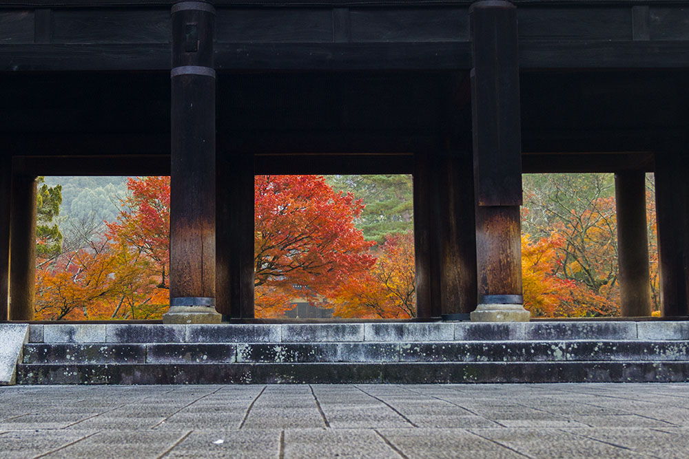 南禅寺の紅葉